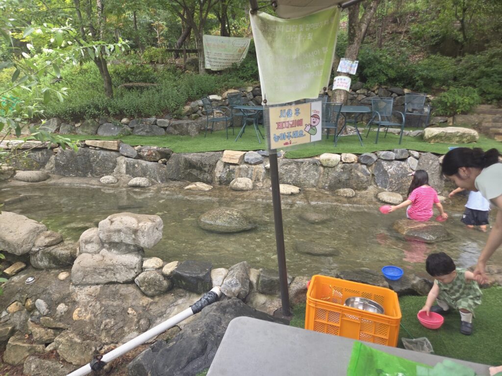 세종 도토리숲 키즈파크 아이 미꾸라지 잡기 체험