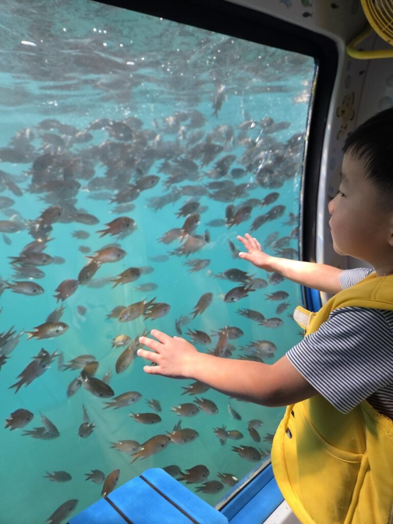 제주 함덕잠수함에서 창밖의 바닷속 물고기를 바라보는 아이